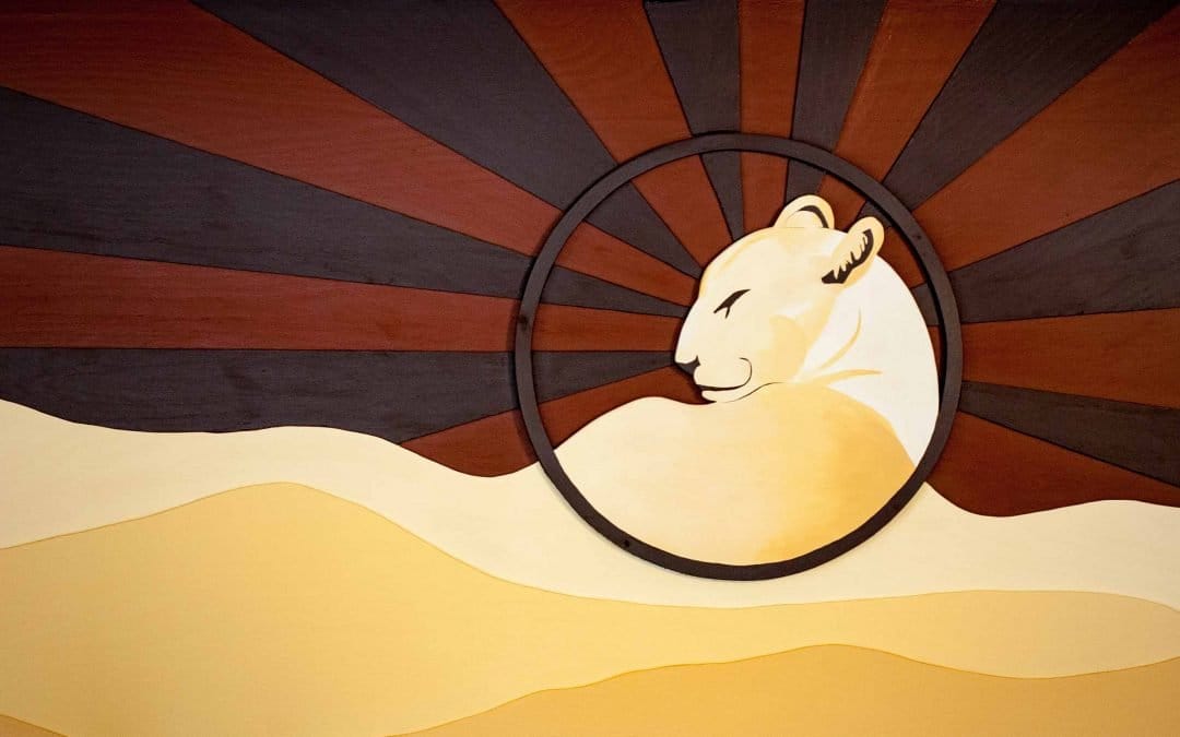 The Local Lion